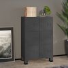 Industrial Filing Cabinet Anthracite 29.5"x15.7"x45.3" Metal