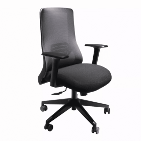 Mesh Back Adjustable Ergonomic Office Swivel Chair with Padded Seat and Casters, Black and Gray (Color: Black and Gray)